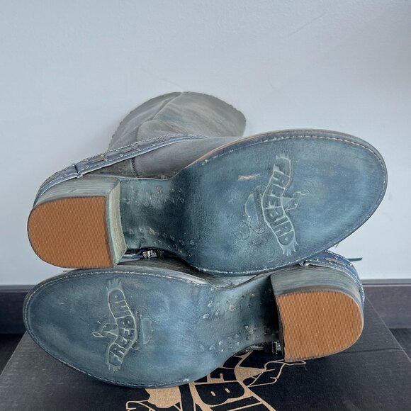 Freebird Stores | CONTOUR - Blue 8.0 - Picture 4 of 4